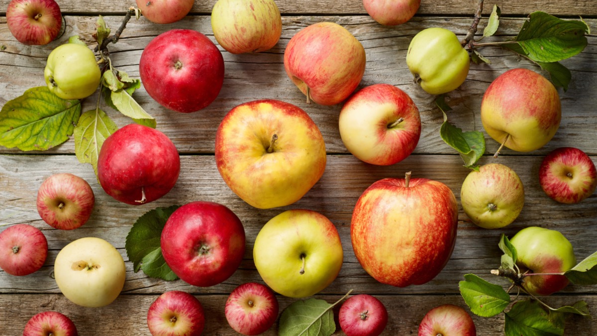 Bunte Äpfel verschiedener Sorten auf einem Holzuntergrund.