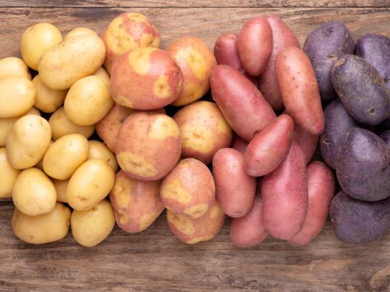 Verschieden farbige Kartoffeln nebeneinander von oben fotogerafiert.