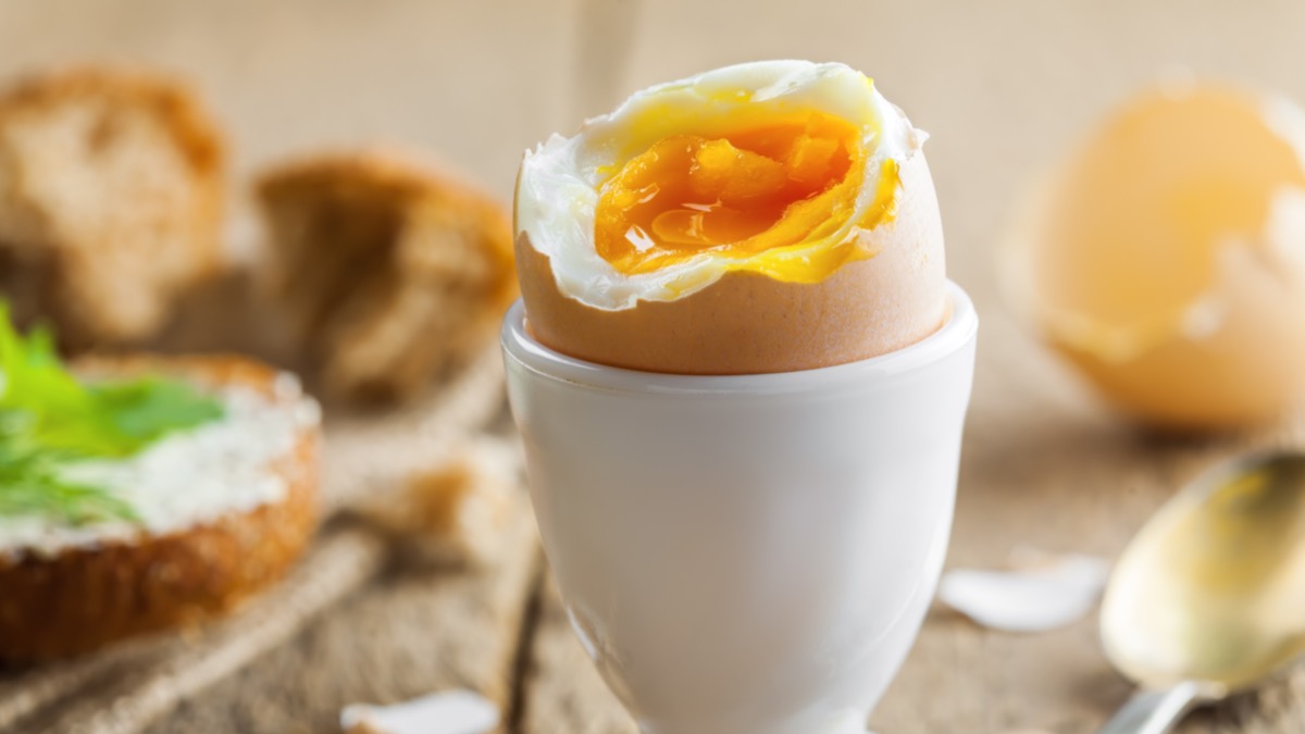 Perfekt gekochtes Ei in weiÃŸem Eierbecher