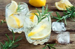 2 Gläser Gin Tonic Spritz mit Eiswürfeln, Zitronenspalten und Rosmarin.