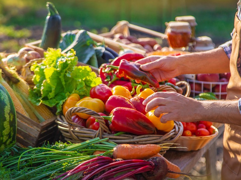 Obst und Gemüse richtig lagern: Frisches Obst und Gemüse wird auf dem Markt verkauft