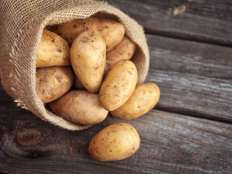 Kartoffeln, die ein Lebensmittel sind, das kein Licht verträgt, in einem umgekippten Sack.
