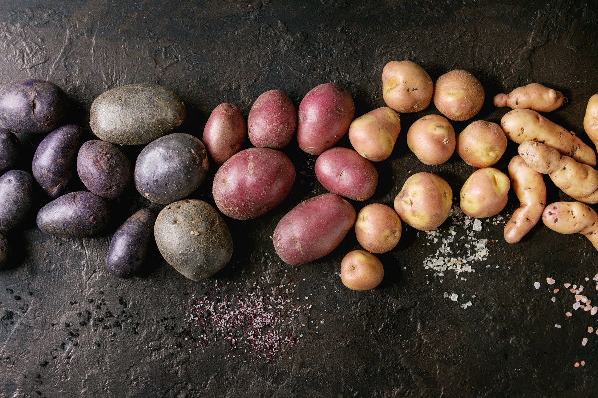 Süßkartoffel oder Kartoffel: verschiedene Kartoffelsorten auf schwarzem Schiefer-Untergrund