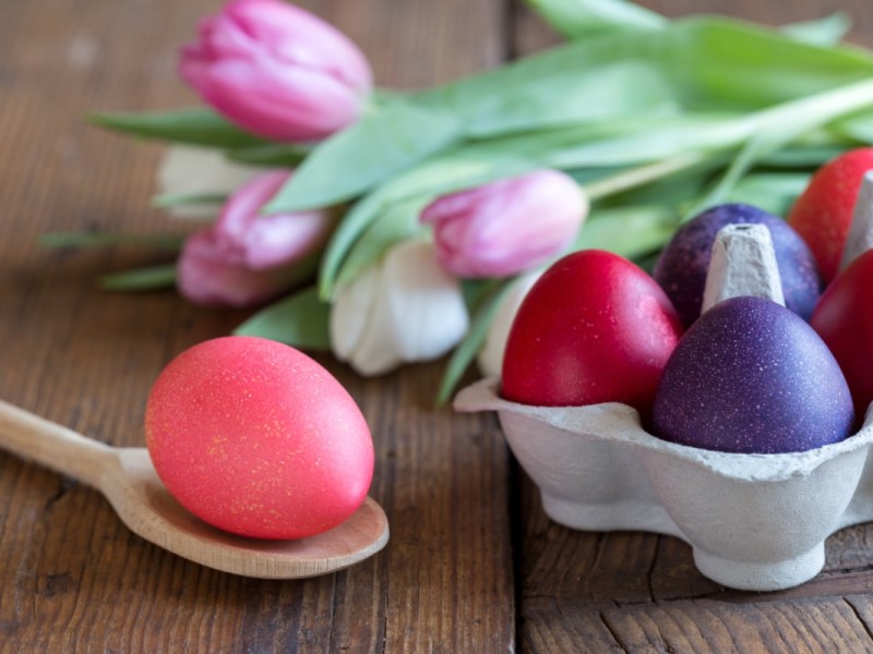 Gefärbte Eier im Eierkarton und auf einem Holzlöffel. Dahinter liegt ein Strauß Tulpen.