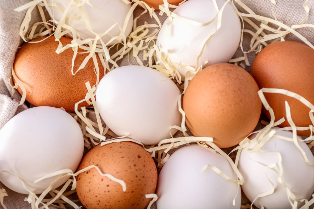 Unterschied braune und weiße Eier: Verschieden farbige Eier, von oben fotografiert.