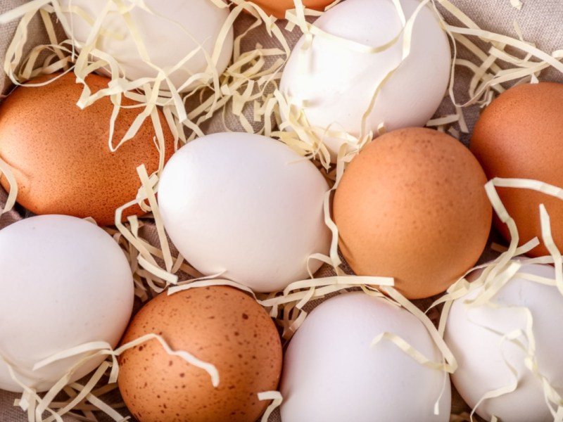 Gibt es einen Unterschied zwischen braunen und weißen Eiern?