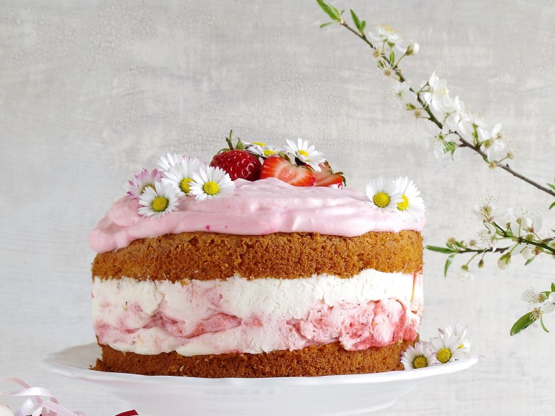 Erdbeer-Schmand-Torte mit zwei Kuchenböden und zwei Cremeschichten, garniert mit Erdbeeren, daneben blühende Zweige.