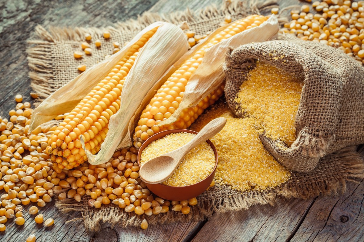 Ist Mais gesund: Maiskolben, Maiskörner und Maismehl verteilt auf Holz.