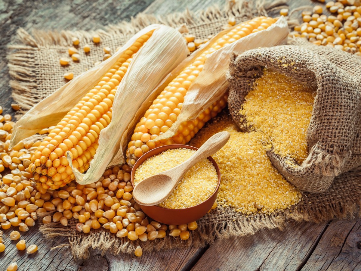 Beliebter Grillklassiker: Wie gesund ist Mais wirklich?