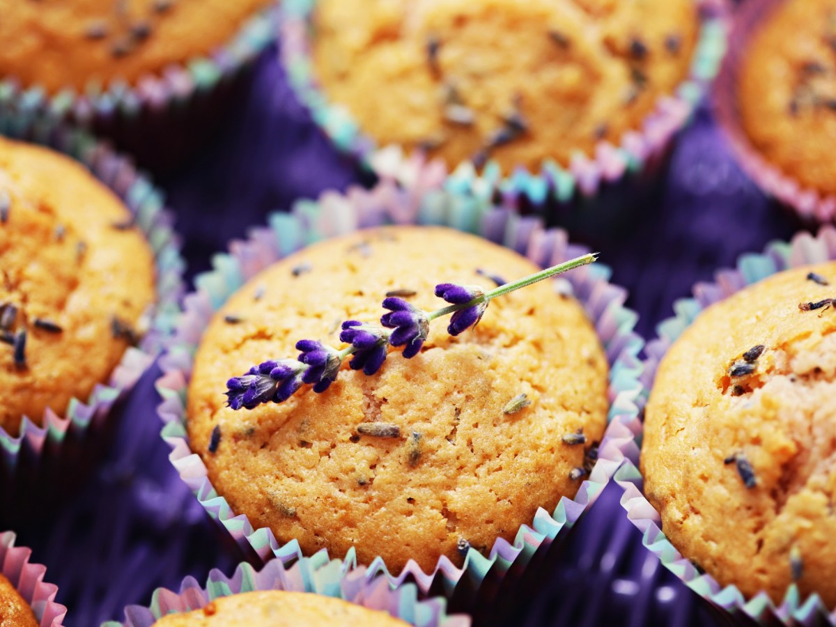 Mini-Kuchen: Diese Lavendel-Muffins erinnern an ein Spaziergang durch Frankreichs Süden