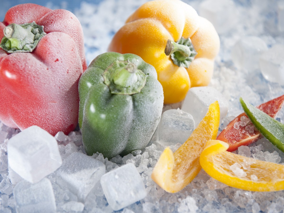 Paprika einfrieren: eingefrorene ganze und geschnittene Paprika in Rot, Gelb und Grün auf Eis