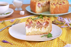 ein Stück Rhabarber-Puddingkuchen auf einem Teller, dahinter eine Kaffeetasse und der angeschnittene Kuchen.