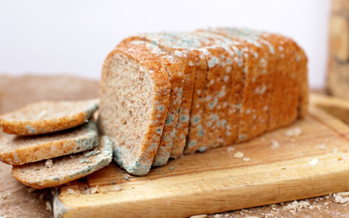 Schimmeliges Brot auf einem Holzbrett.