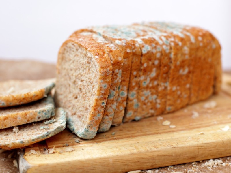 Sollte man schimmeliges Brot wegwerfen oder den Schimmel abschneiden?