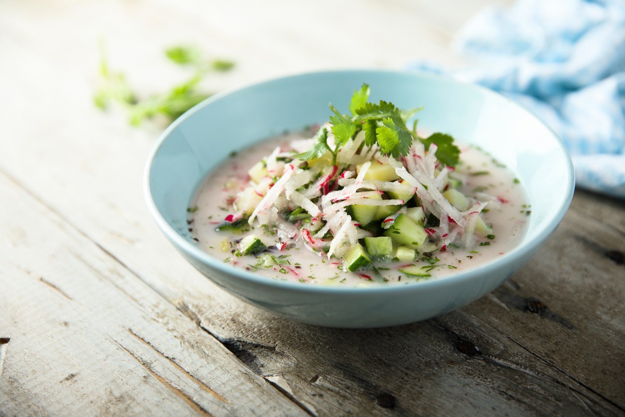 Radieschensuppe mit Frischkäse und Gurke: cremig &amp; würzig - Leckerschmecker