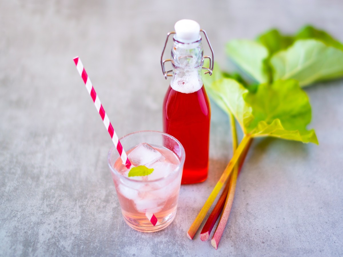 Mit Rhabarber-Sirup den Geschmack des Frühlings konservieren