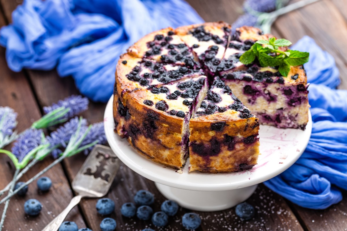 Blaubeer-Joghurt-Torte: cremig-fruchtiger Tortengenuss - Leckerschmecker