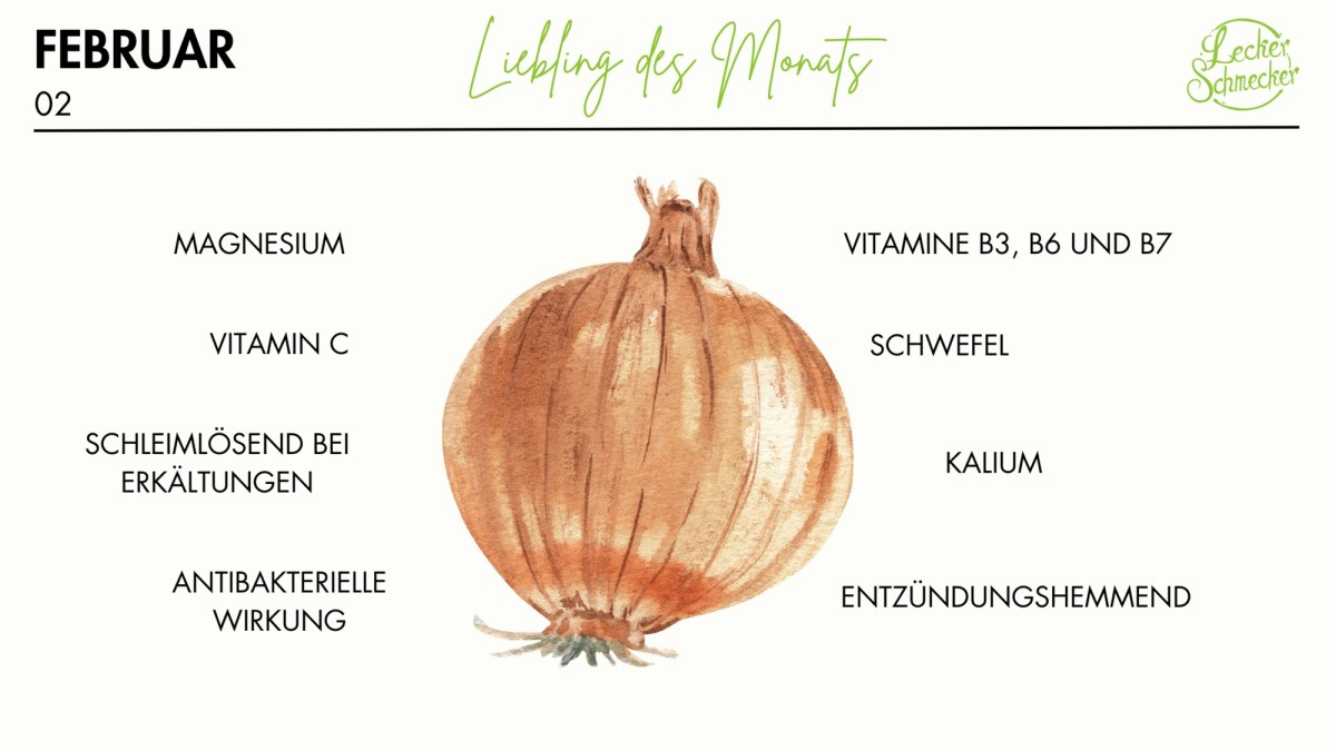 Warenkunde Zwiebel