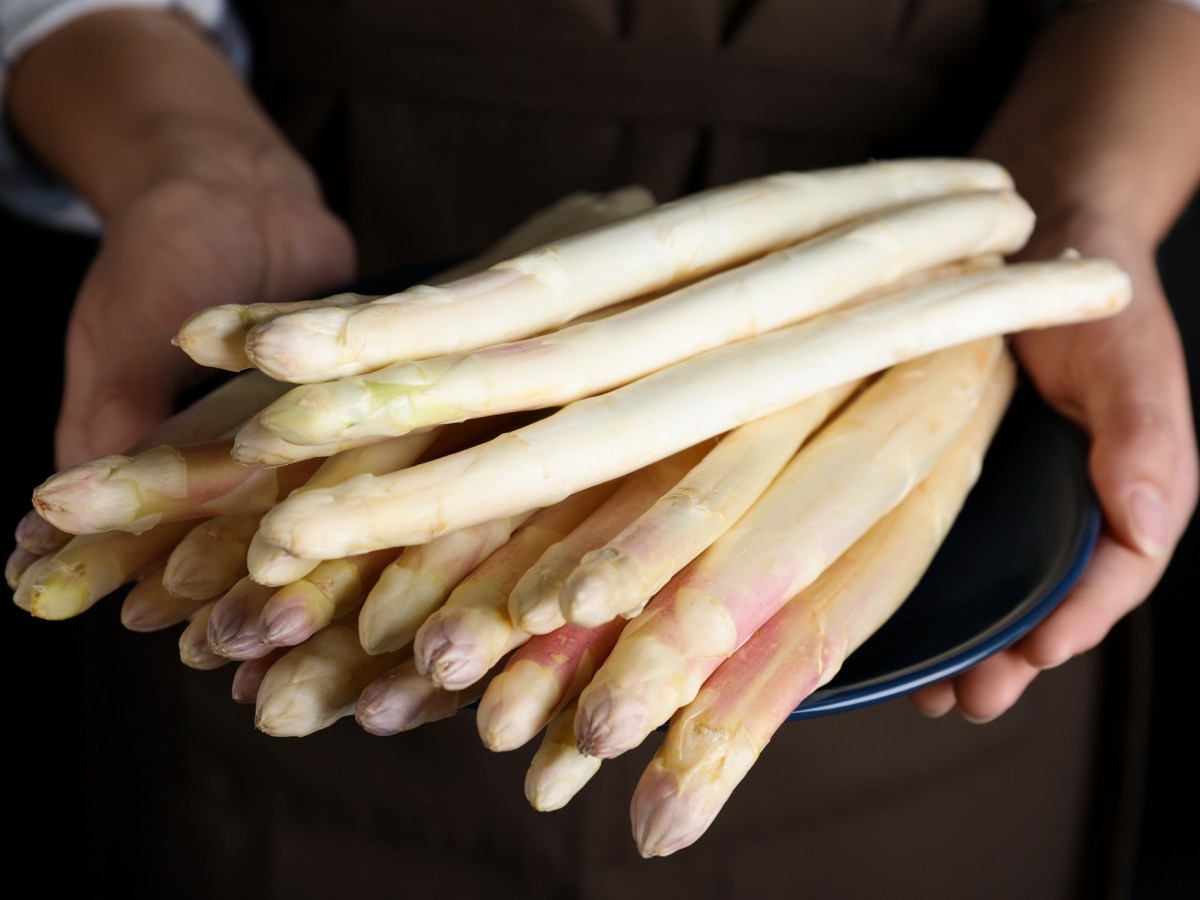 Ist bitterer Spargel giftig? Wir haben die Antwort!