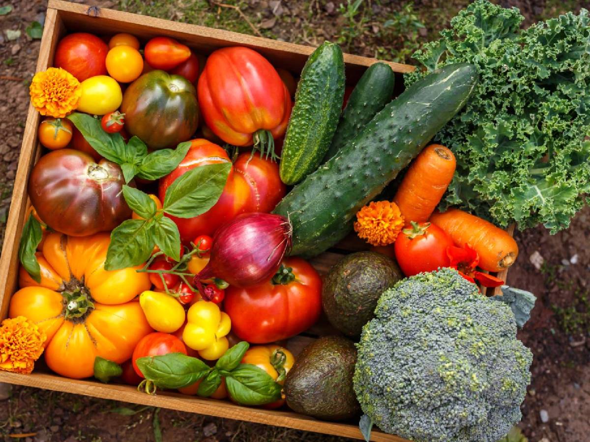 Was hat die Zahl 30 mit deiner Ernährung zu tun?