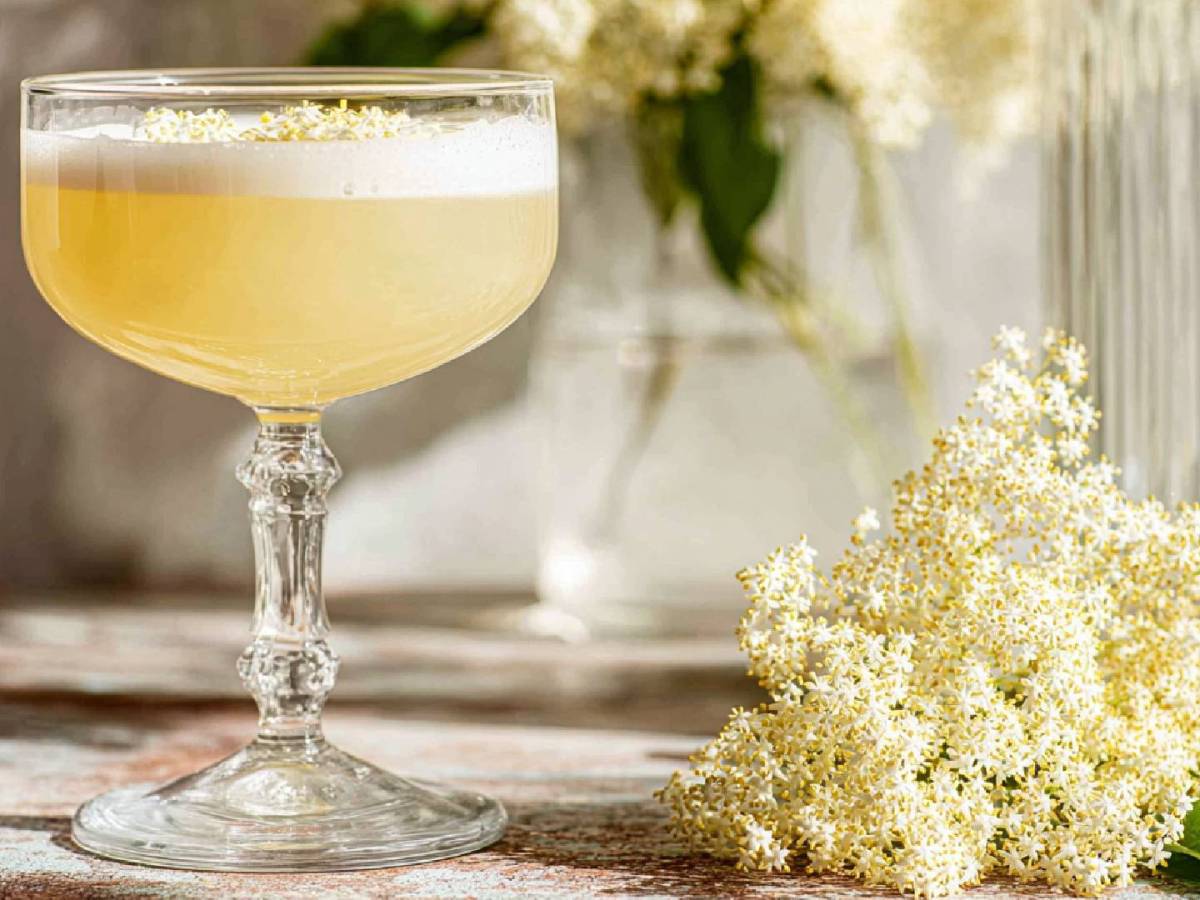 Holunder Gin Sour: erfrischender Cocktail für warme Tage